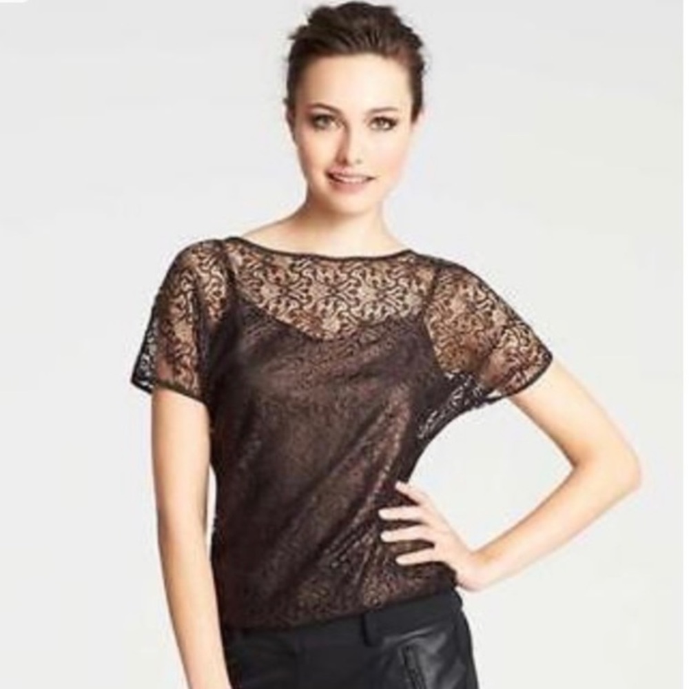 NWT Ann Taylor Bronze Lace Overlay w/ Black Cami